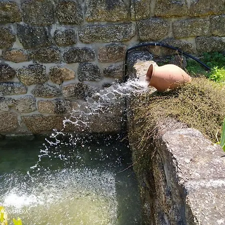 Casas Vale Martinho Санта-Комба-Дан