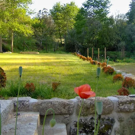 Casas Vale Martinho