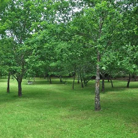 住宿加早餐酒店 Casas Vale Martinho 圣孔巴当