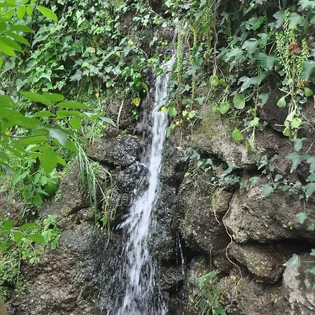 住宿加早餐酒店 Casas Vale Martinho