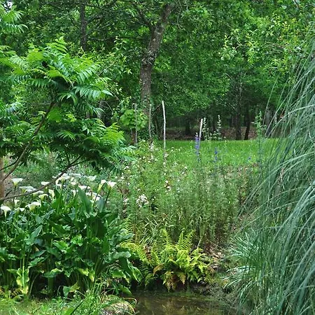 住宿加早餐酒店 Casas Vale Martinho 3*