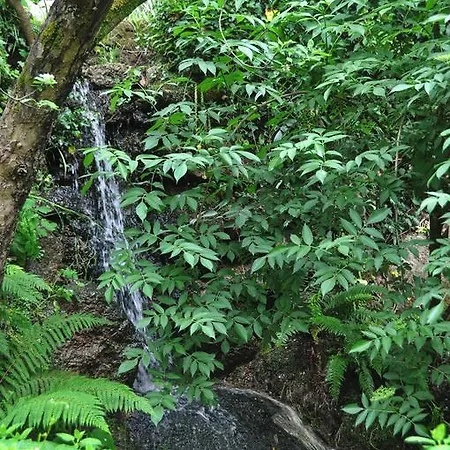 住宿加早餐酒店 Casas Vale Martinho