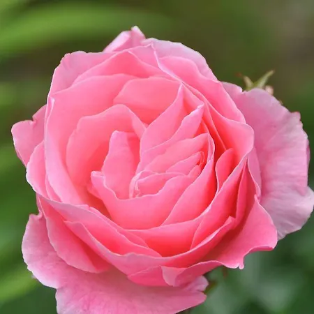 住宿加早餐酒店 Casas Vale Martinho