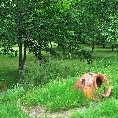 Casas Vale Martinho 3*