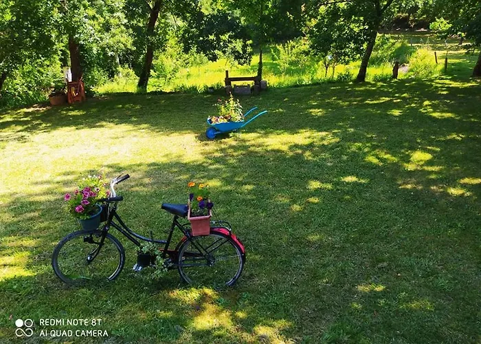 Casas Vale Martinho Alojamento de Acomodação e Pequeno-almoço