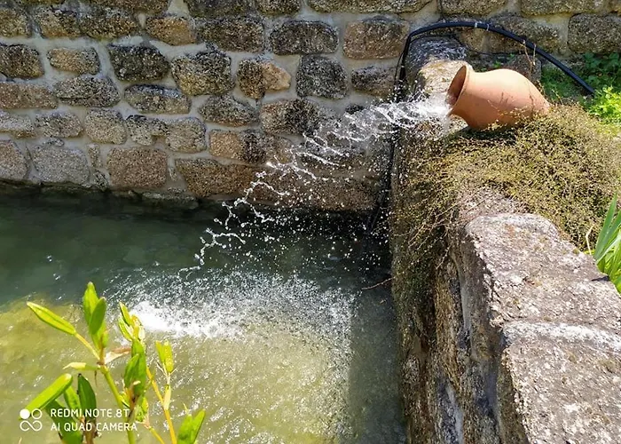 Alojamento de Acomodação e Pequeno-almoço Casas Vale Martinho
