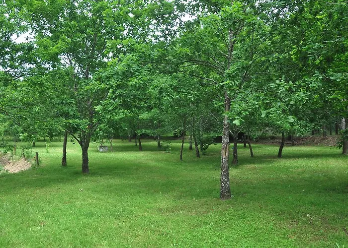 Bed & Breakfast Casas Vale Martinho Santa Comba Dao