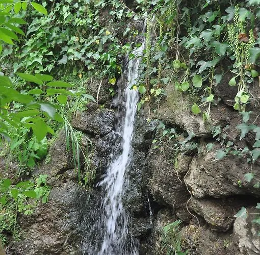Alojamento de Acomodação e Pequeno-almoço Casas Vale Martinho