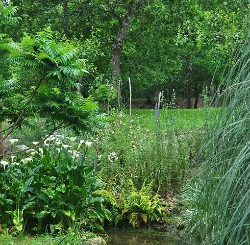 Alojamento de Acomodação e Pequeno-almoço Casas Vale Martinho 3*