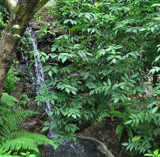 Alojamento de Acomodação e Pequeno-almoço Casas Vale Martinho