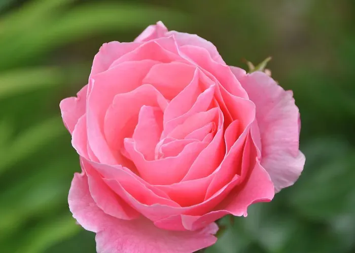 Bed & Breakfast Casas Vale Martinho