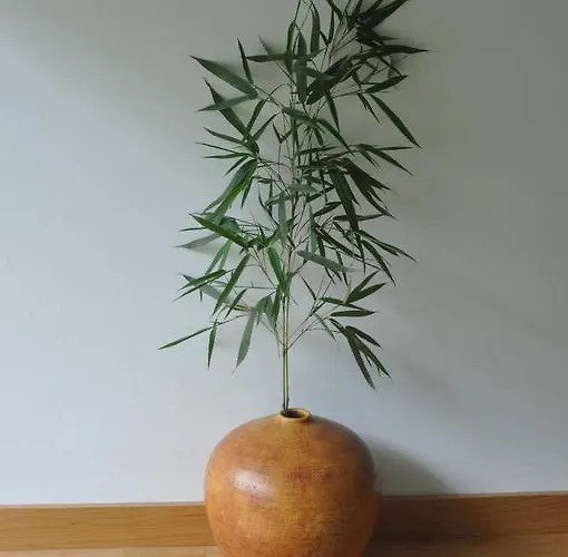 Alojamento de Acomodação e Pequeno-almoço Casas Vale Martinho