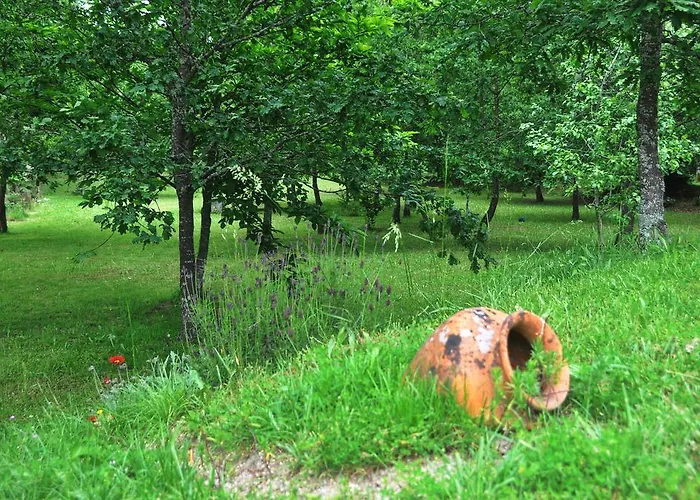 Casas Vale Martinho 3*